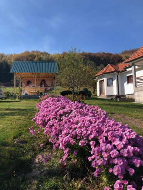 Zakukuljeno rural house